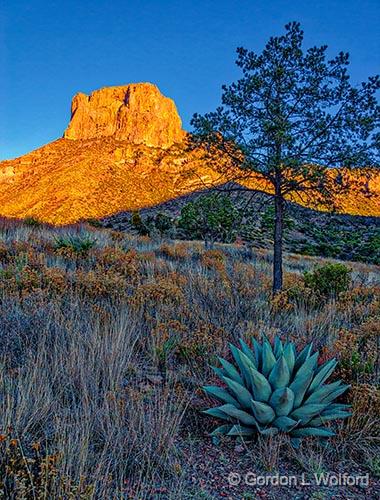 Big Bend at Sunset_7512v2.jpg - Photographed in Big Bend National Park, Texas, USA.